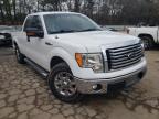 FORD - F-150