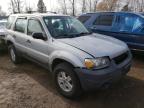 FORD - ESCAPE