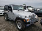 JEEP - WRANGLER