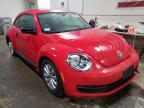 VOLKSWAGEN - BEETLE