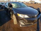 TOYOTA - CAMRY