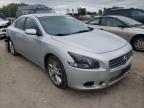 NISSAN - MAXIMA