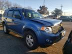 FORD - ESCAPE