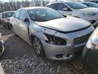 NISSAN - MAXIMA