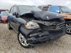 MERCEDES-BENZ - M-CLASS