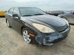 LEXUS - ES330