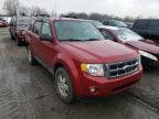 FORD - ESCAPE