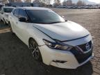 NISSAN - MAXIMA