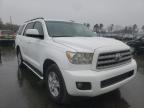 TOYOTA - SEQUOIA