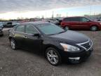 NISSAN - ALTIMA