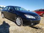 LEXUS - ES350