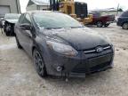 FORD - FOCUS