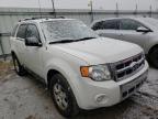 FORD - ESCAPE