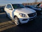 MERCEDES-BENZ - M-CLASS