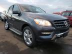 MERCEDES-BENZ - M-CLASS