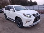 LEXUS - GX