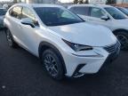 LEXUS - NX