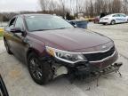 KIA - OPTIMA