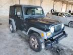 JEEP - WRANGLER