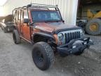 JEEP - WRANGLER