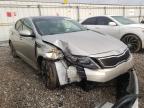 KIA - OPTIMA