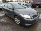TOYOTA - COROLLA