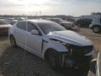 KIA - OPTIMA