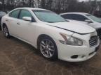 NISSAN - MAXIMA