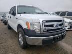 FORD - F-150