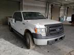 FORD - F-150