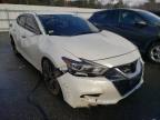 NISSAN - MAXIMA