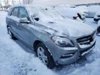 MERCEDES-BENZ - M-CLASS