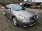 NISSAN - MAXIMA