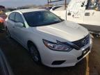NISSAN - ALTIMA
