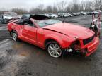 FORD - MUSTANG