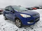 FORD - ESCAPE