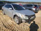 NISSAN - MAXIMA