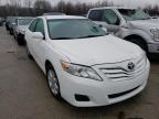 TOYOTA - CAMRY
