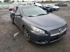 NISSAN - MAXIMA