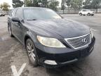 LEXUS - LS460