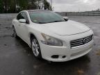 NISSAN - MAXIMA