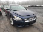 NISSAN - MAXIMA