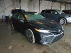 TOYOTA - CAMRY