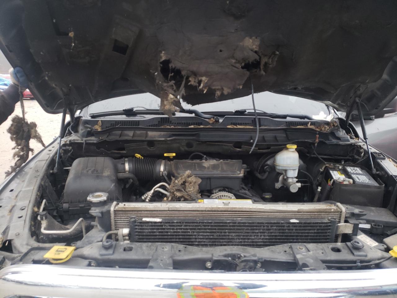 2010 DODGE RAM 1500 VIN: 1D7RV1GP1AS132729