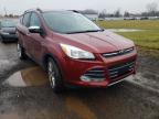 FORD - ESCAPE