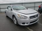 NISSAN - MAXIMA