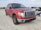FORD - F-150