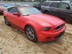 FORD - MUSTANG
