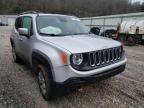 JEEP - RENEGADE