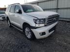 TOYOTA - SEQUOIA